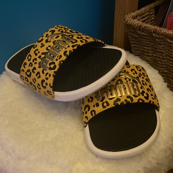 Pump slides - Picture 2 of 2